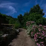 Bosque Da Fantasia Baião