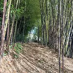 Feriegård Bosque Da Fantasia