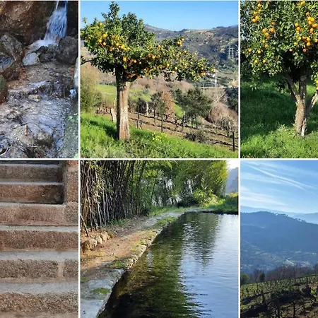 Bosque Da Fantasia Baiao