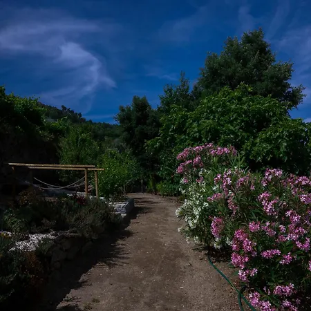 Bosque Da Fantasia Baiao