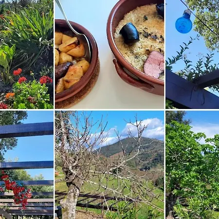 Farm stay Bosque Da Fantasia *