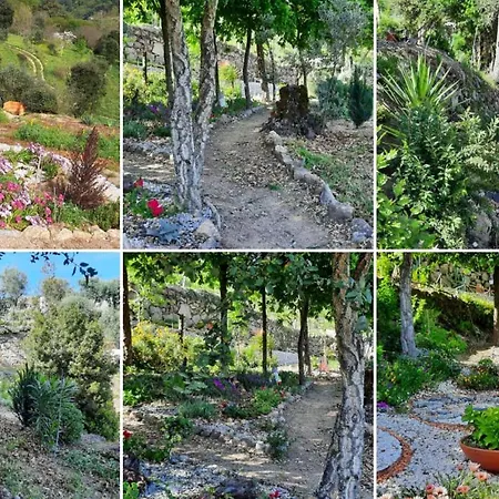 Bosque Da Fantasia * Baião