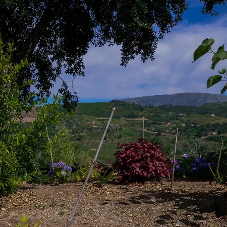 Bosque Da Fantasia