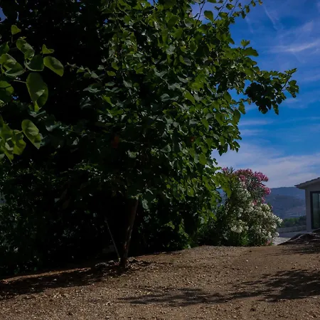 Farm stay Bosque Da Fantasia *