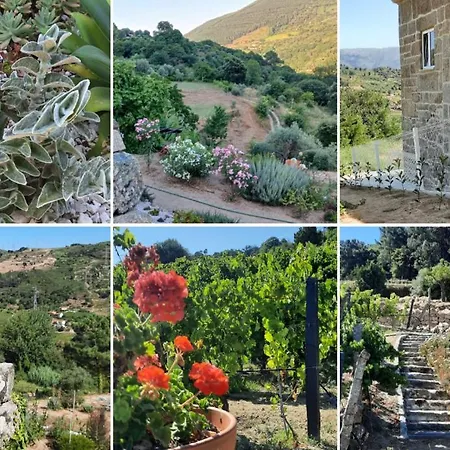 Bosque Da Fantasia Farm stay