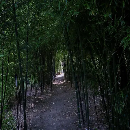 Bosque Da Fantasia Farm stay