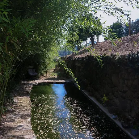 팜스테이 Bosque Da Fantasia