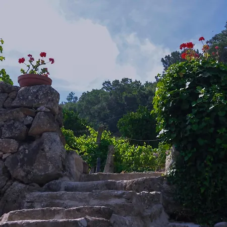 Bosque Da Fantasia * 바이아오