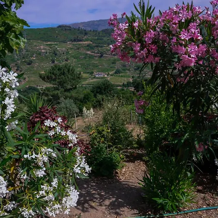 Farm stay Bosque Da Fantasia *