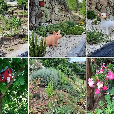 Bosque Da Fantasia Farm stay