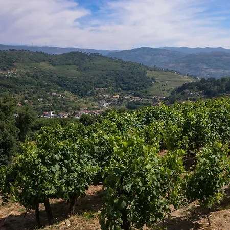 Bosque Da Fantasia * 바이아오