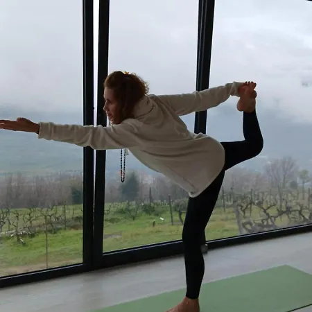 Bosque Da Fantasia Baiao