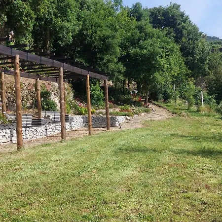 Bosque Da Fantasia *