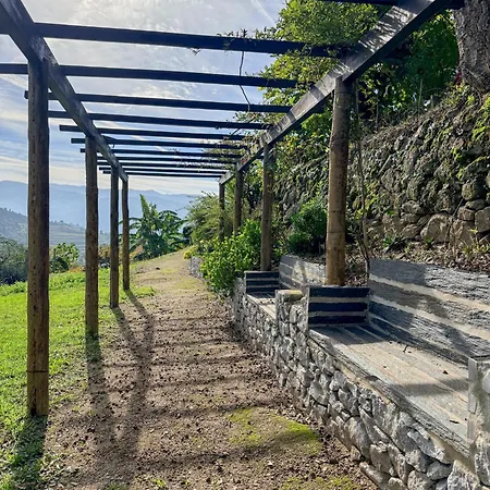 Bosque Da Fantasia *