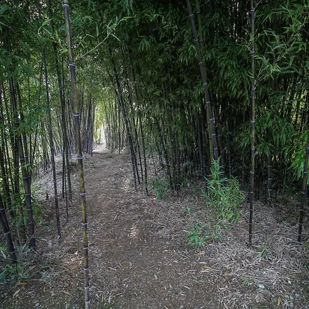 Agroturismo Bosque Da Fantasia