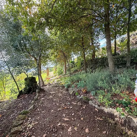 בית חווה Bosque Da Fantasia *