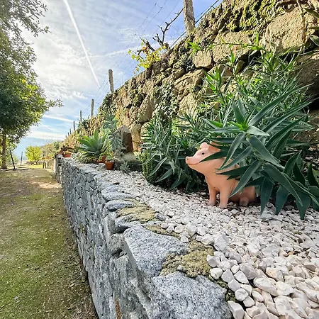 Bosque Da Fantasia * Baião