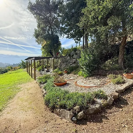 Bosque Da Fantasia Agroturismo Baião