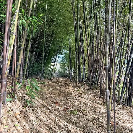 Agroturismo Bosque Da Fantasia