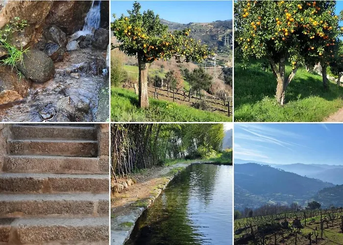 Bosque Da Fantasia Baião