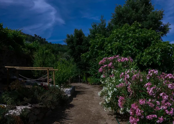 Bosque Da Fantasia Baião
