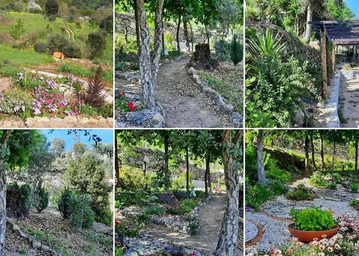 Bosque Da Fantasia * Baião