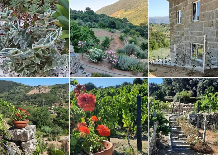 Bosque Da Fantasia Bauernhof