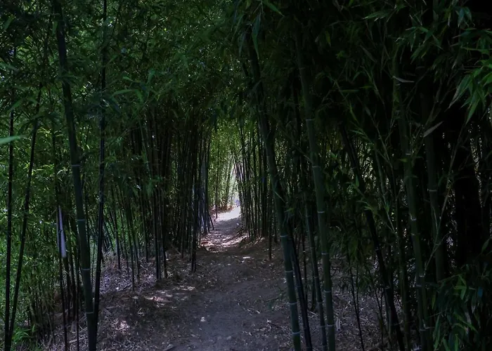 Bosque Da Fantasia Bauernhof