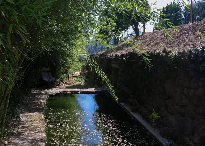 Lantgård Bosque Da Fantasia