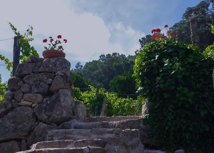 Bosque Da Fantasia * Baião