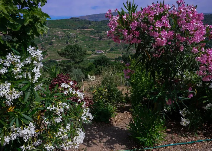 Bauernhof Bosque Da Fantasia *