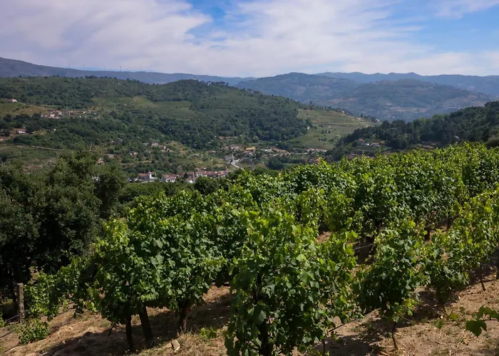 Bosque Da Fantasia * Baião