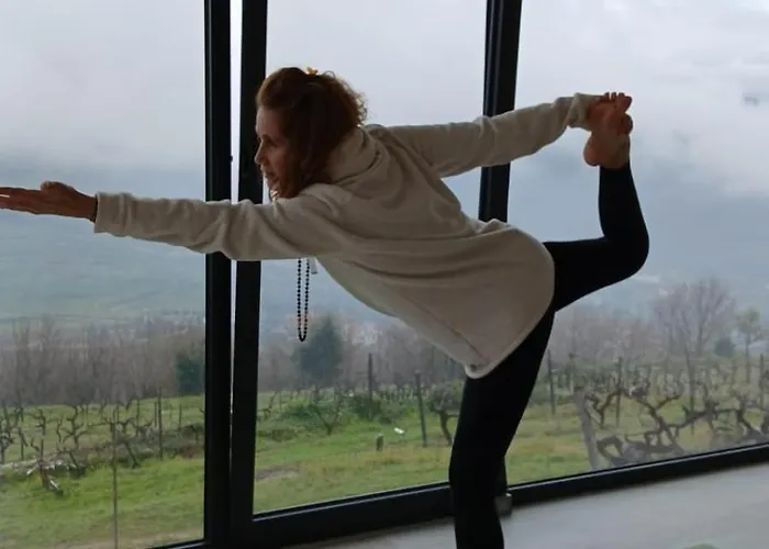 Bosque Da Fantasia Baião