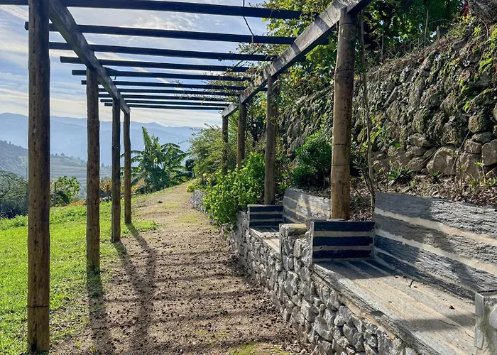 Bosque Da Fantasia *