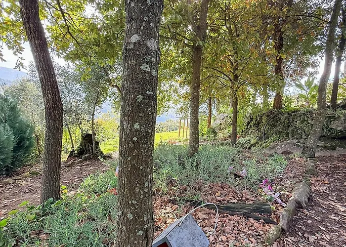 Bauernhof Bosque Da Fantasia *