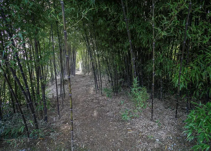 Lantgård Bosque Da Fantasia