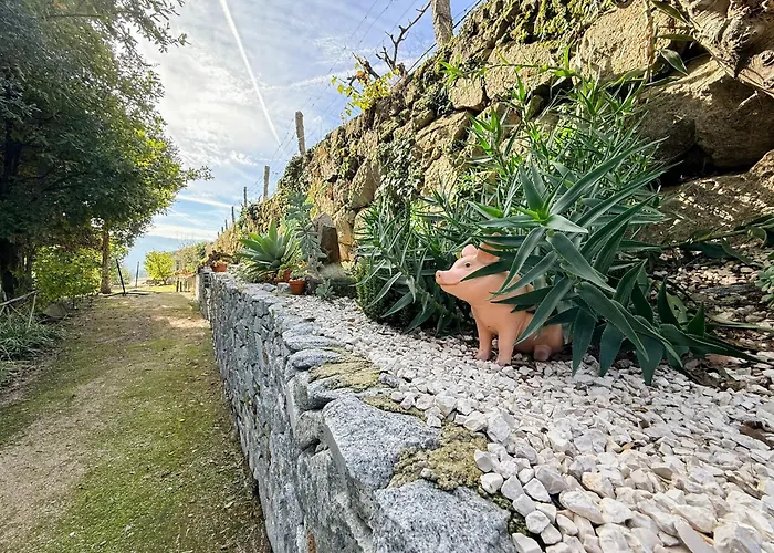 Bosque Da Fantasia * Baião